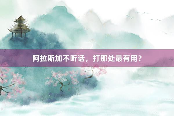 阿拉斯加不听话,打那处最有用?