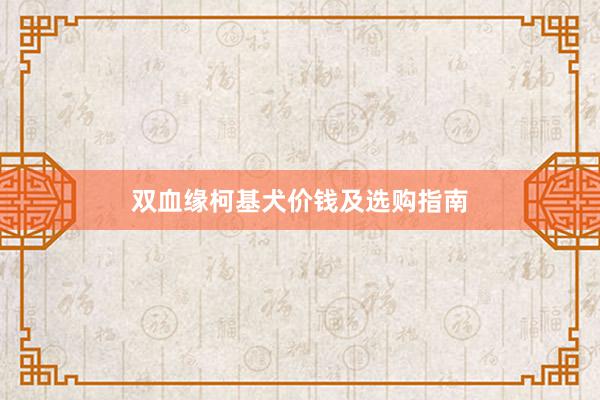 双血缘柯基犬价钱及选购指南